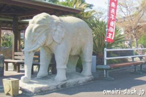 雲龍山宝蔵院(名古屋市中川区)象(ゾウ)の石像