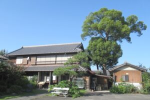 法蔵山極楽寺(愛知県大府市)庫裏と大木
