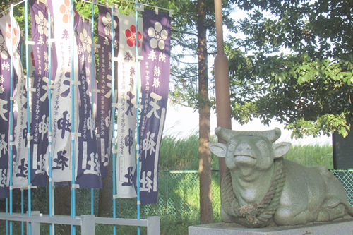横根天神社(愛知県大府市)撫で牛と千本幟