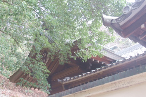 池原神社(岐阜県多治見市)本殿