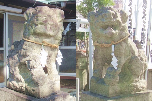 素盞男社(名古屋市千種区松軒1)狛犬