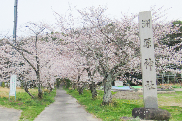 洲原神社(愛知県刈谷市)参道と社号標