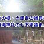 大國魂神社(東京都府中市)の七不思議まとめ