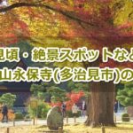 虎渓山永保寺(岐阜県多治見市)の紅葉ガイド